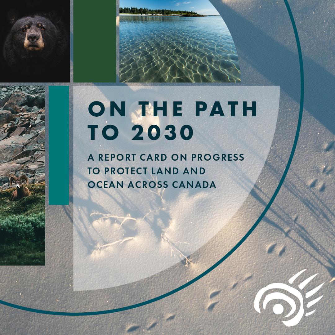 THE GRADES ARE IN AND CPAWS IS TAKING CANADA TO SCHOOL ON CONSERVATION. 👨🏼‍🏫Our NEW Report Card on nature protection across the country highlights the leaders and calls out slackers! SPOILER ALERT! Some provinces and territories are failing. cpaws.org/on-the-path-to…