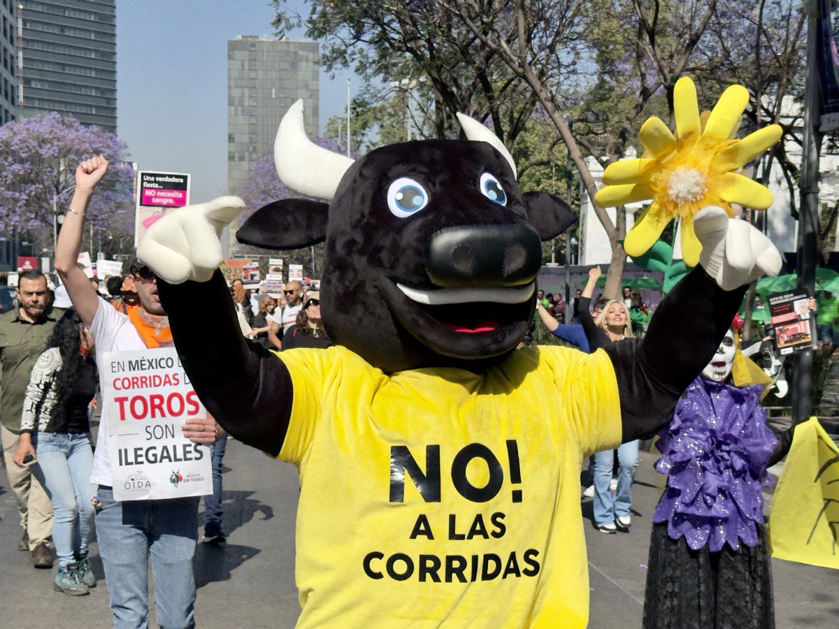 La Jornada tweet media