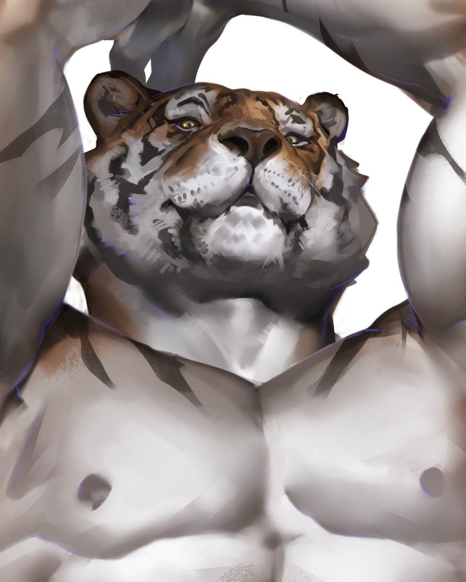 Training anatomy with another cat 🐯!