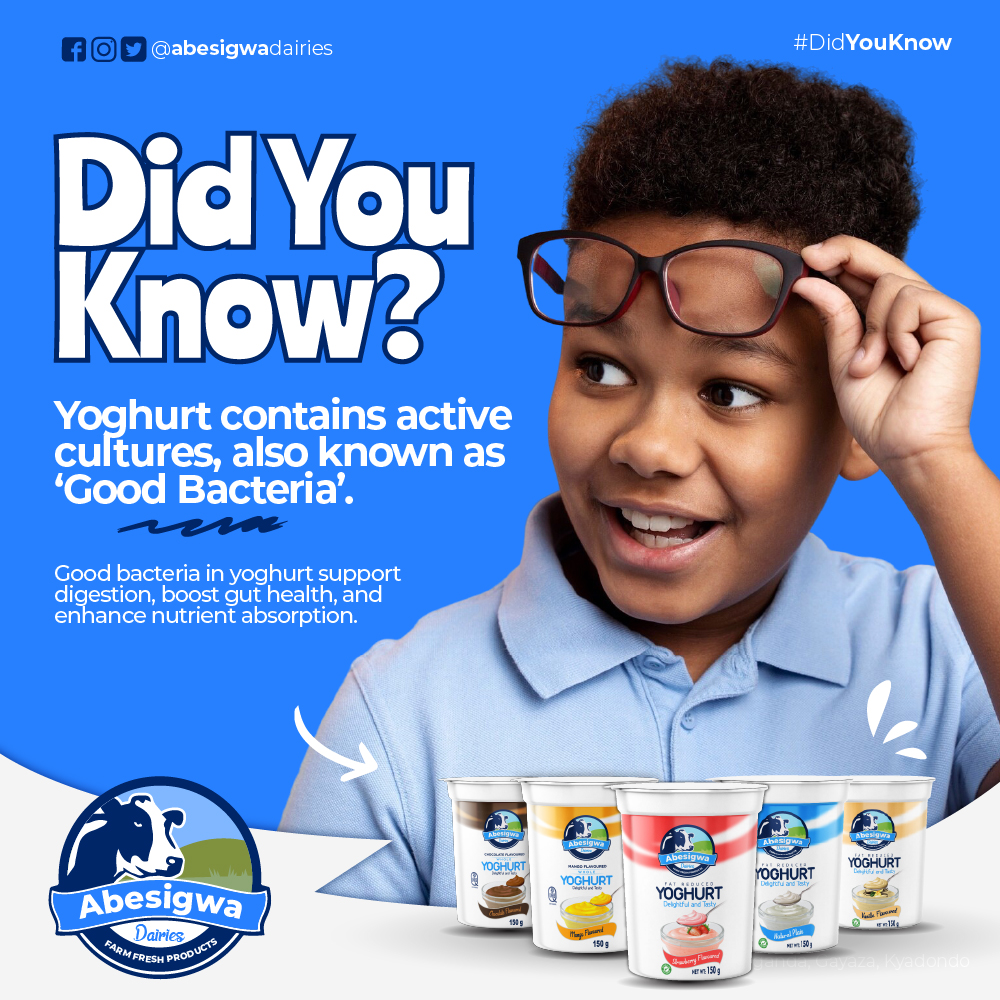 Abesigwadairies's tweet photo. #DidYouKnow? Yoghurt contains live cultures, also known as #goodbacteria, that support digestion, boost gut health, and enhance nutrient absorption. A daily serving of @Abesigwadairies #yoghurt keeps your digestive system balanced and your body feeling great! https://t.co/ph4HW9mGYC