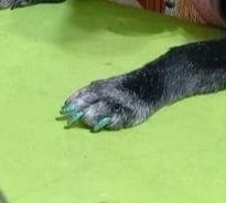 Mañana de chicas 💅🏻