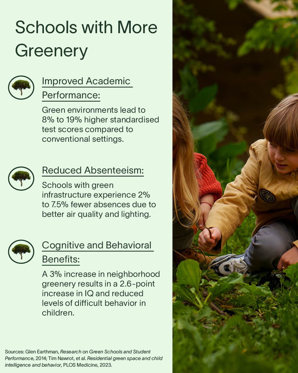 impactdotone's tweet photo. By embedding nature in every part of the educational space, we are investing in the long-term wellbeing of our children and shaping a future where holistic development takes centre stage. https://t.co/j8KAZwReKH