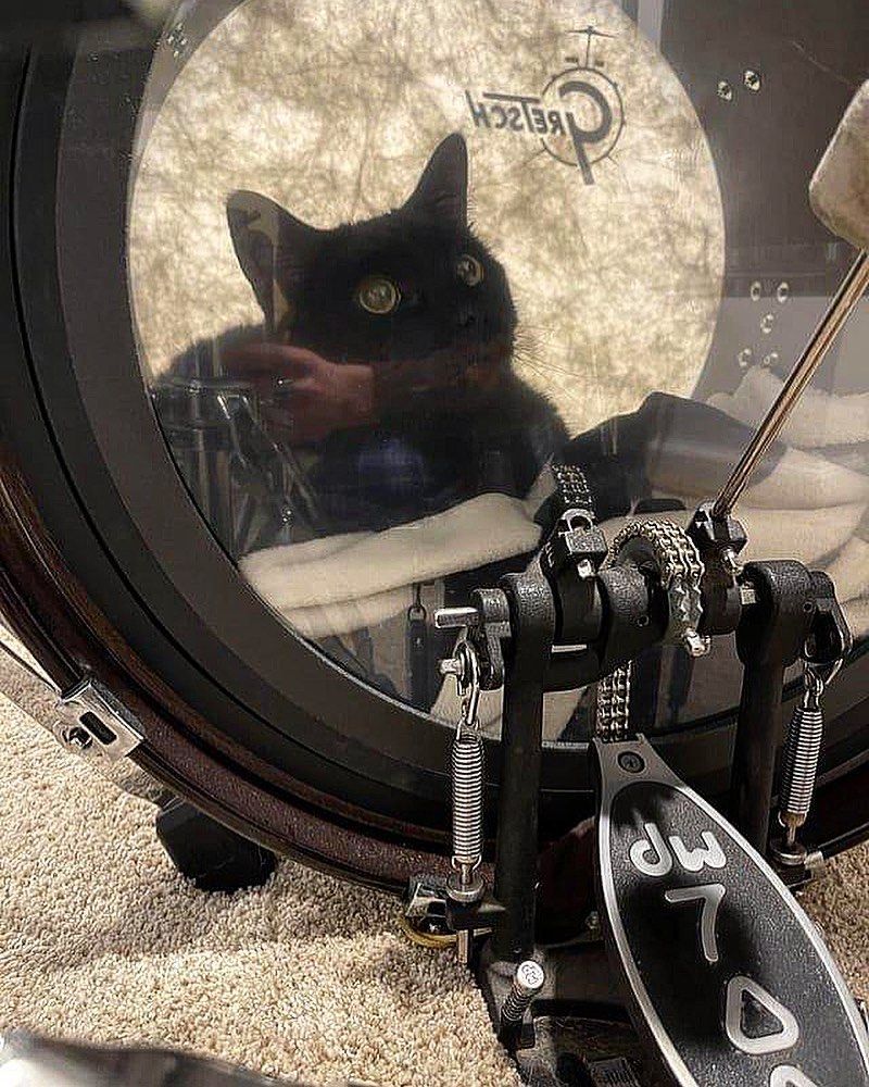 Caption this! 😂 👇
Repost u/gretschstg - Can someone help? Weird vibrating sound in my bass drum