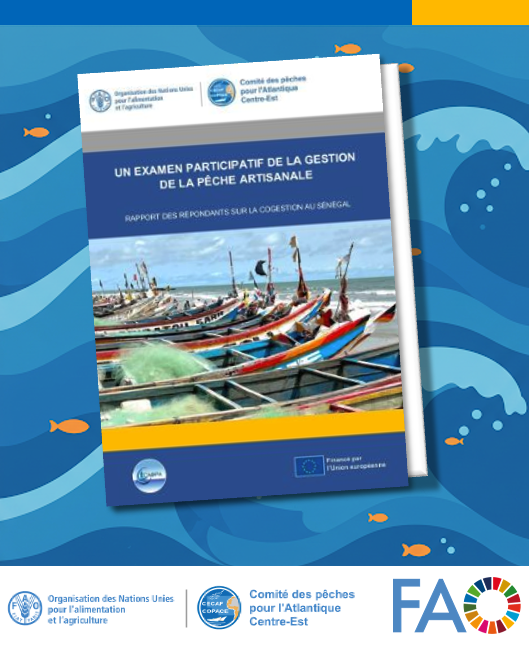 FAO CECAF/COPACE Secretariat (@fao_cecafcopace) on Twitter photo 🔎Rapport sur la cogestion des pêches artisanales au #Sénégal avec <a href="/AfriqueCaopa/">CAOPA Afrique</a>:
📊 211 répondants, 13 sites de pêche.
♻️ 14 initiatives de cogestion identifiées.
👥 Acteurs clés: pêcheurs/transformateurs, administration des pêches, conseils locaux.
🔗doi.org/10.4060/cd2761… 🔎Rapport sur la cogestion des pêches artisanales au #Sénégal avec <a href="/AfriqueCaopa/">CAOPA Afrique</a>:
📊 211 répondants, 13 sites de pêche.
♻️ 14 initiatives de cogestion identifiées.
👥 Acteurs clés: pêcheurs/transformateurs, administration des pêches, conseils locaux.
🔗doi.org/10.4060/cd2761…