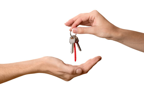 Gina_ny_realtor's tweet image. The flowers aren't the only things blooming this spring! List your home now and take advantage of the vibrant real estate market. #SpringListing #QueensRealEstate #HomeSelling 🌺🏡