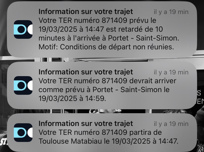 ⟣ alba tweet media