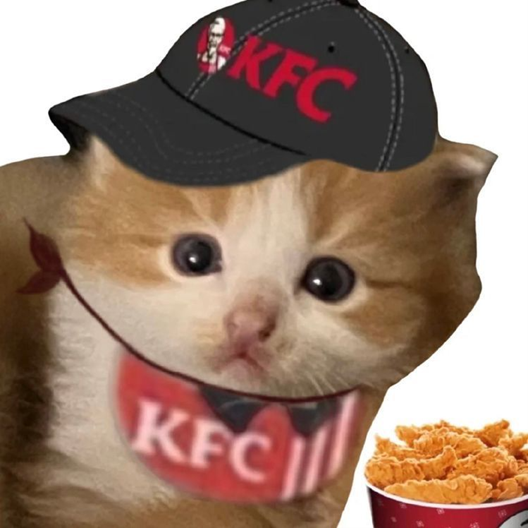 Ponle un nombre a nuestro nuevo amigo