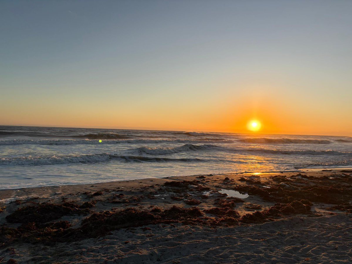 legen 🚀🌕 tweet media