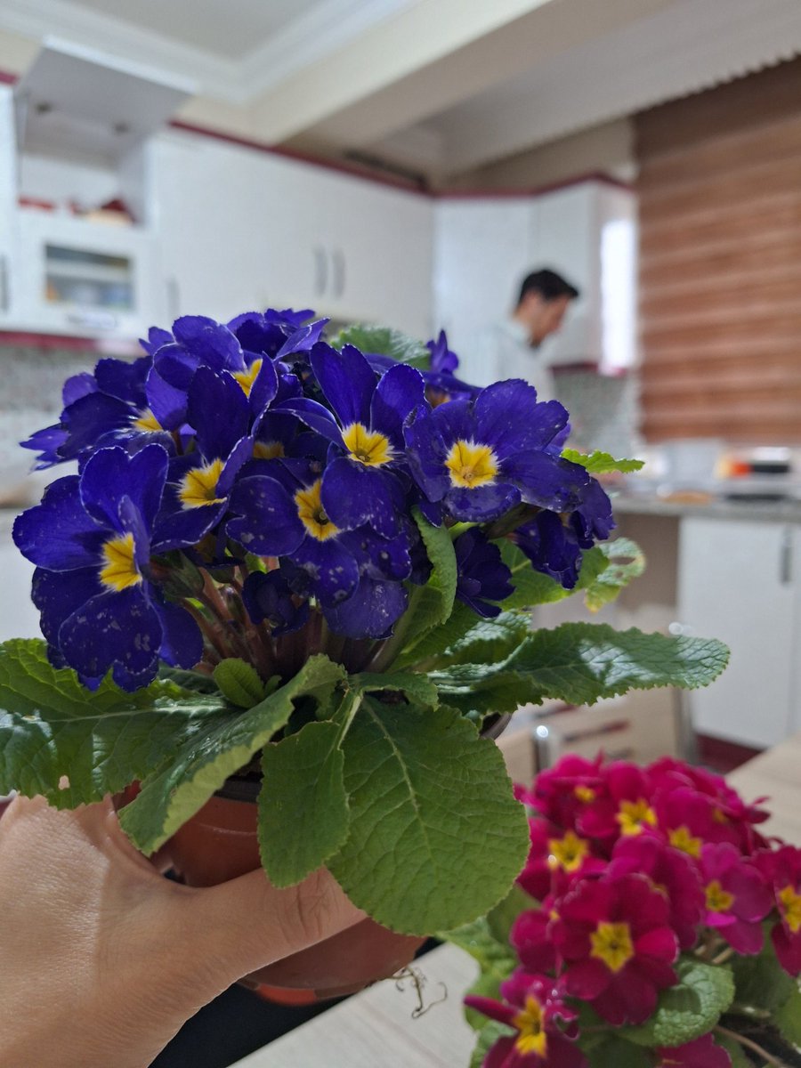 Çiçeklendirdi yine 😇