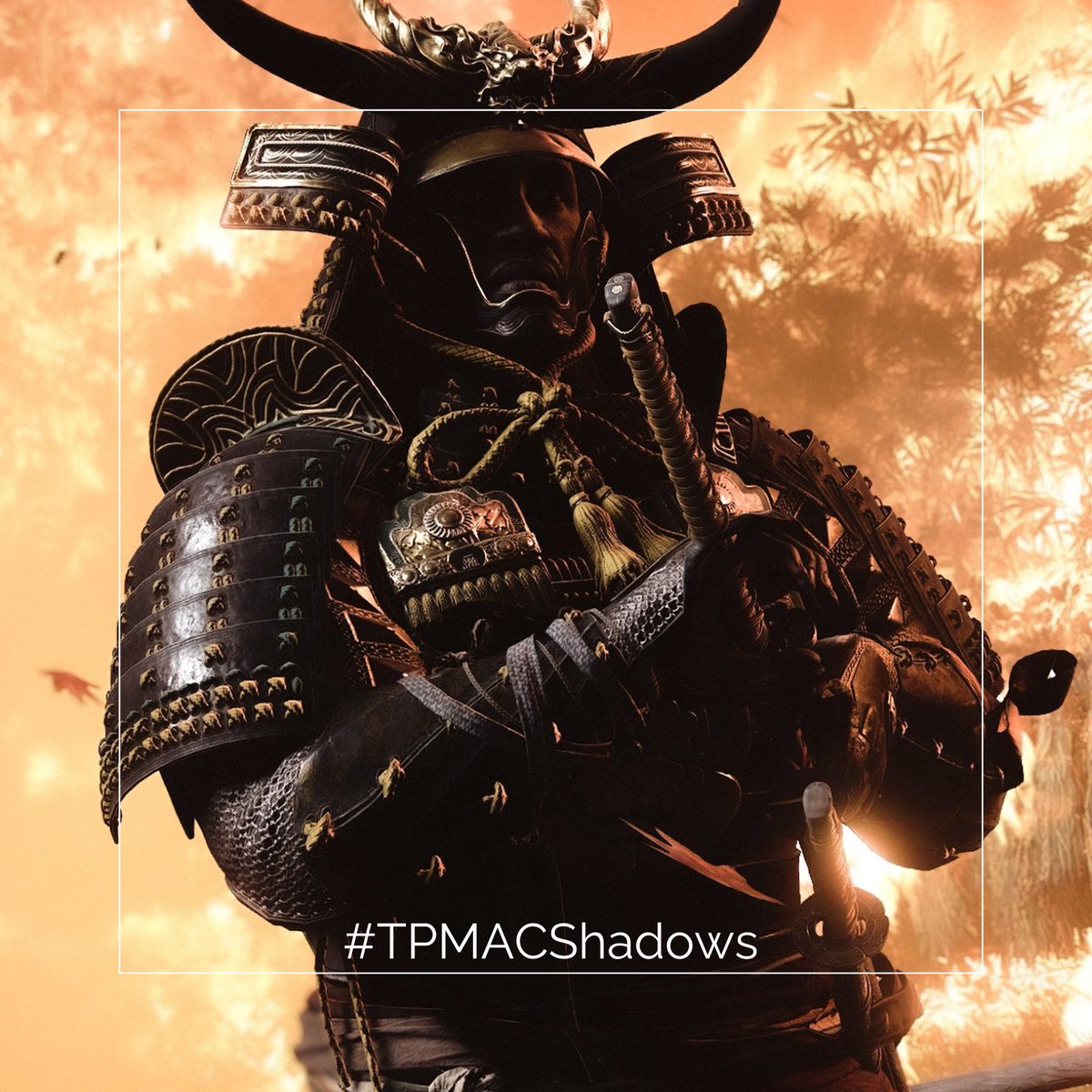 Good morning my friends!!☕️☕️

Just a friendly reminder there's a couple weeks left for our AC shadows theme! Post with #TPMACShadows for a chance to be featured in an upcoming issue of the magazine!