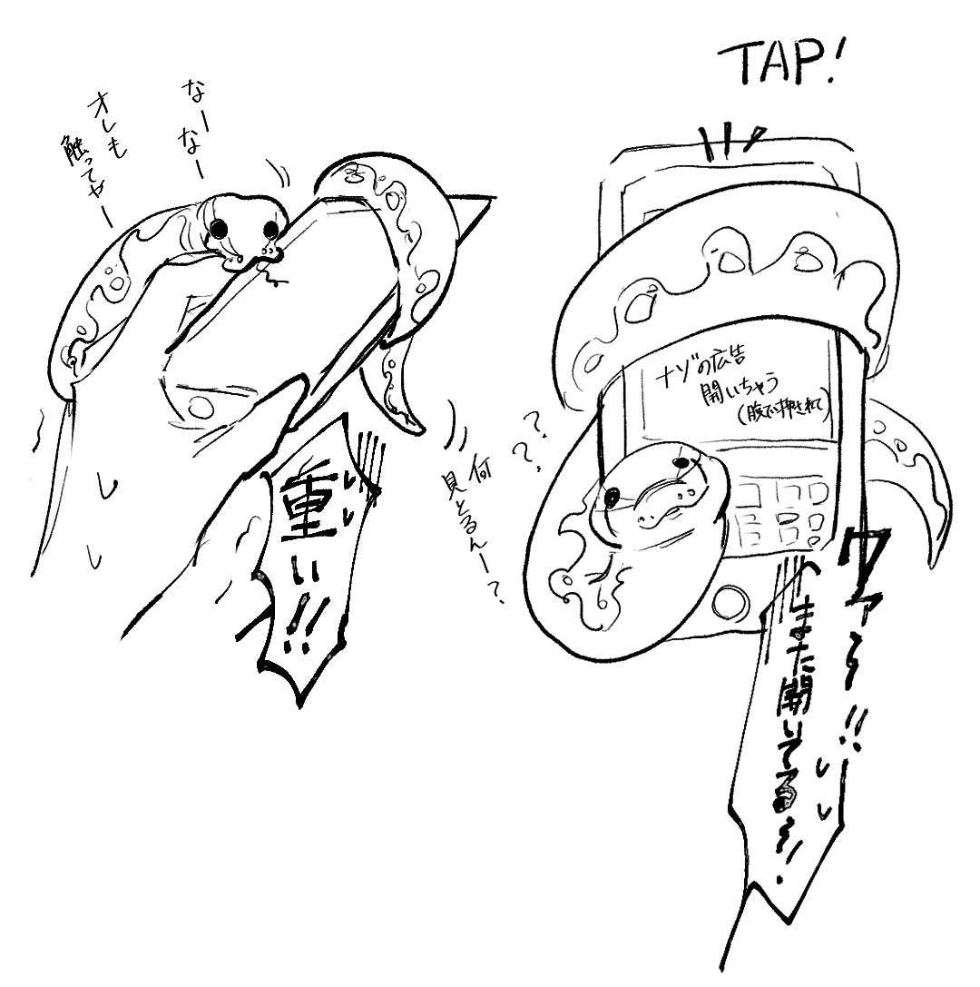 コレがスマホ奪いパイソン🐍
カワイイ顔して誤タップ悪戯多い 