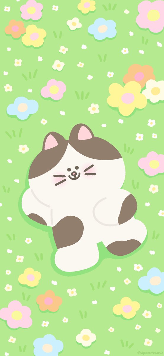 shipenmaow tweet media