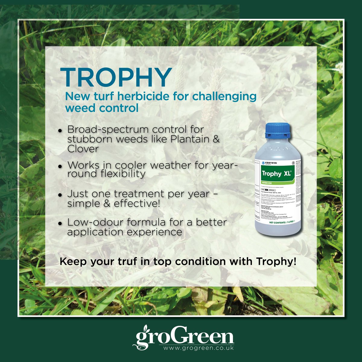 When it comes to keeping your turf in top condition, Praxys &amp; Trophy XL are both champions in their own right!
🟢 Praxys – tackles deep rooted weeds like daisies, dandelions, and buttercups.
🟢 Trophy XL –  Perfect for persistent weeds like plantain &amp; clover.