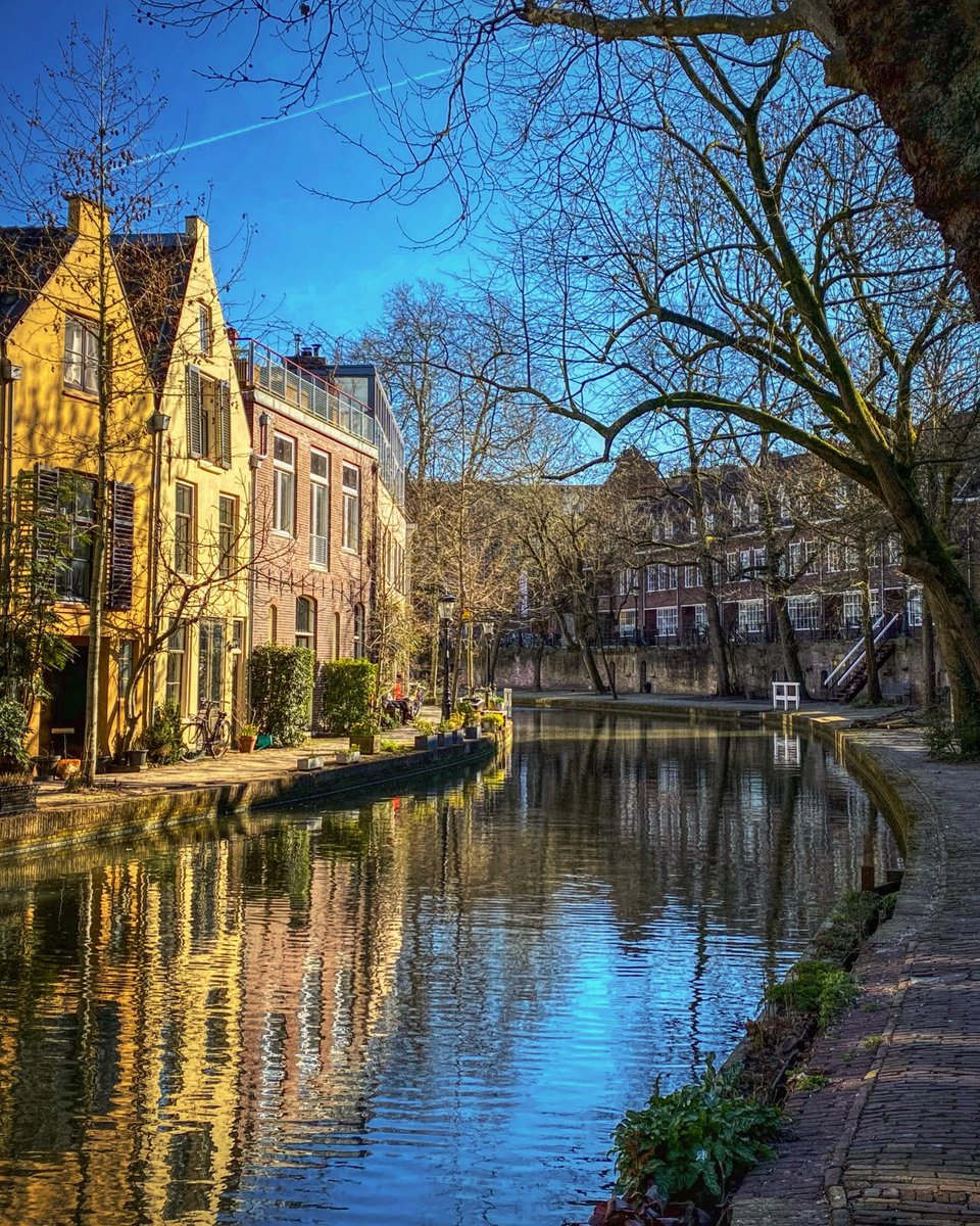 Wilbert Pot 💬 tweet media