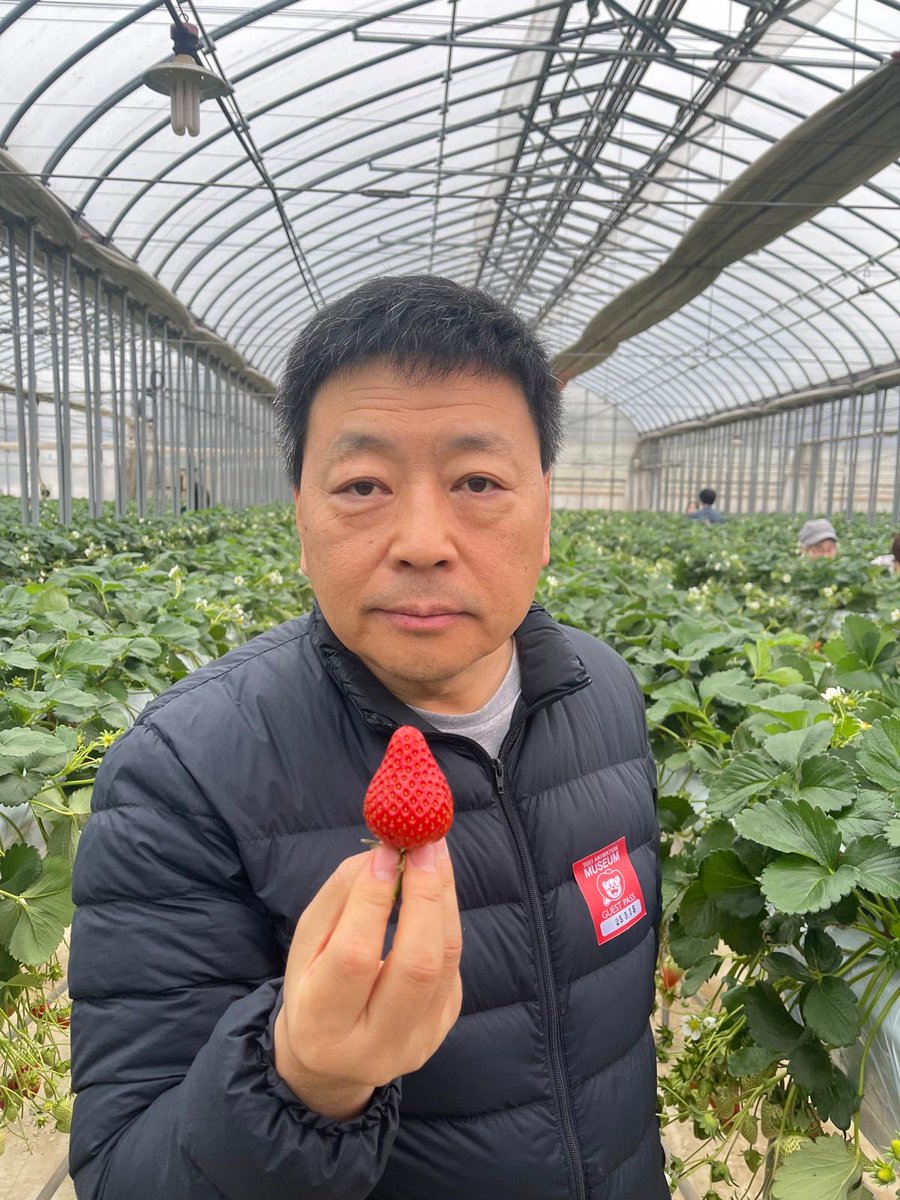 王局志安 tweet media