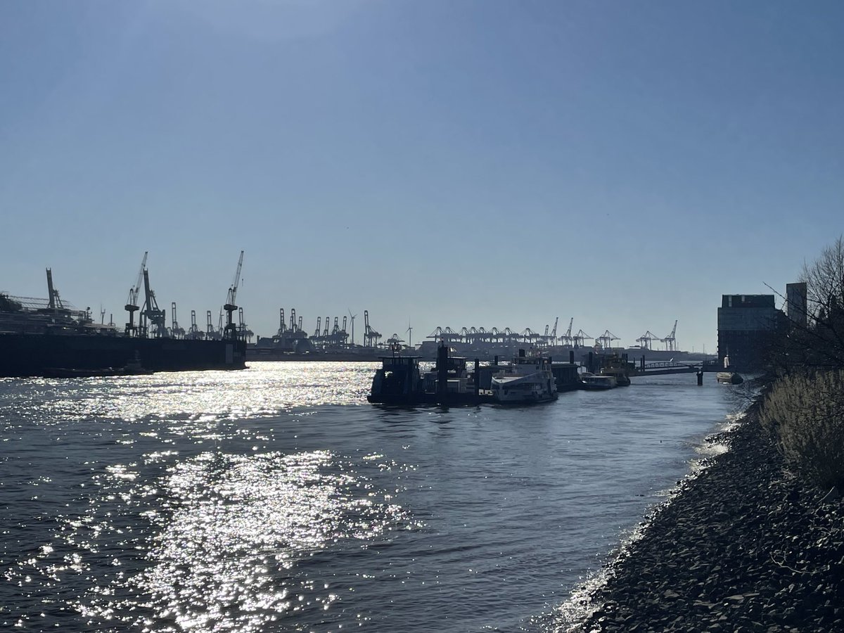 #hallohallo
Sport, Hafen, Fischbrötchen. Sonne 
Einfach Hamburg heute❣️