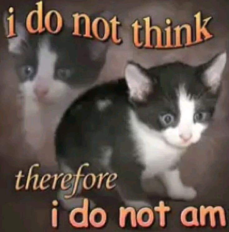 <a href="/VulcanForged/">Vulcan Forged</a> <a href="/VulcanXofficial/">VulcanX</a> Day 2 of ∞, where you'll get ratio'd for trying to leech the engagement from another project's ticker

$V belongs to <a href="/vvvdotnet/">vVv</a>