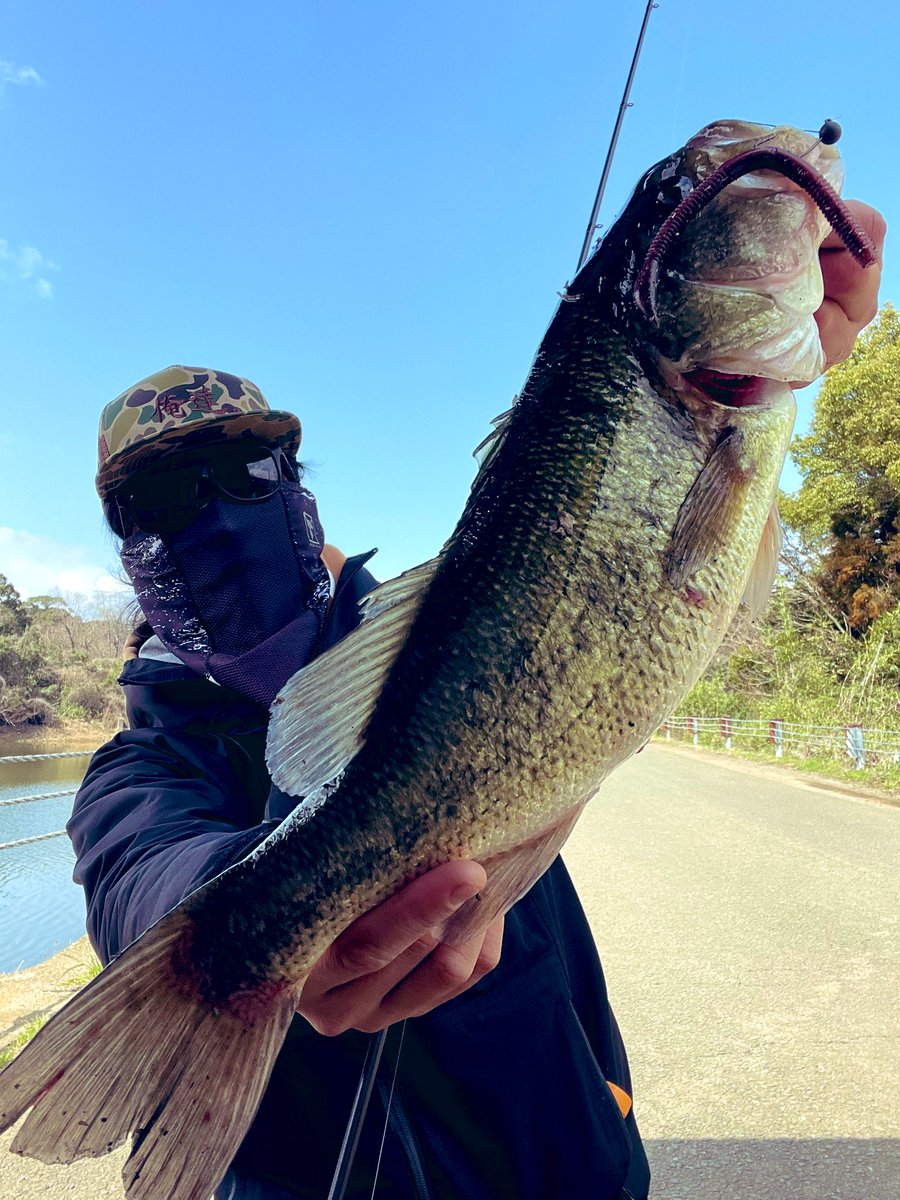 voXIE8yuQ4cu7oA's tweet photo. お疲れ様ですタッキーです♡
今日は諏訪の池へ🎣
MAGATAILで初GETしました🤩
しかも1投目🤭
43㌢😎 980㌘😎
最高〜だぜい😘
みんなも諏訪の池来てね〜😁
#長崎県バス釣り
#秦拓馬
#FISHMAGNET
#MAGATAILモニター
#MAGATAIL
@hatatakuma
#ZAPPU
#インチワッキー
@ZAPPUofficial https://t.co/MIHVDqbS2b