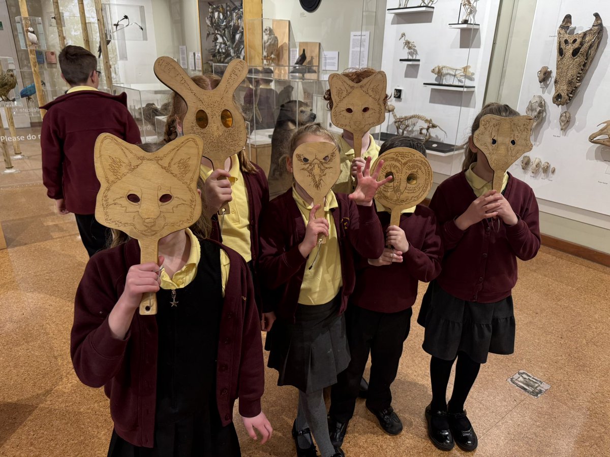 Springfield Primary tweet media