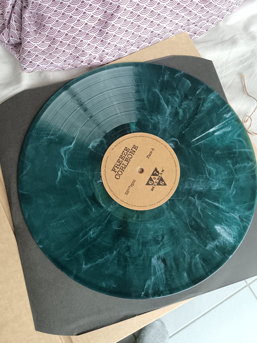 Grotia 221 tweet media