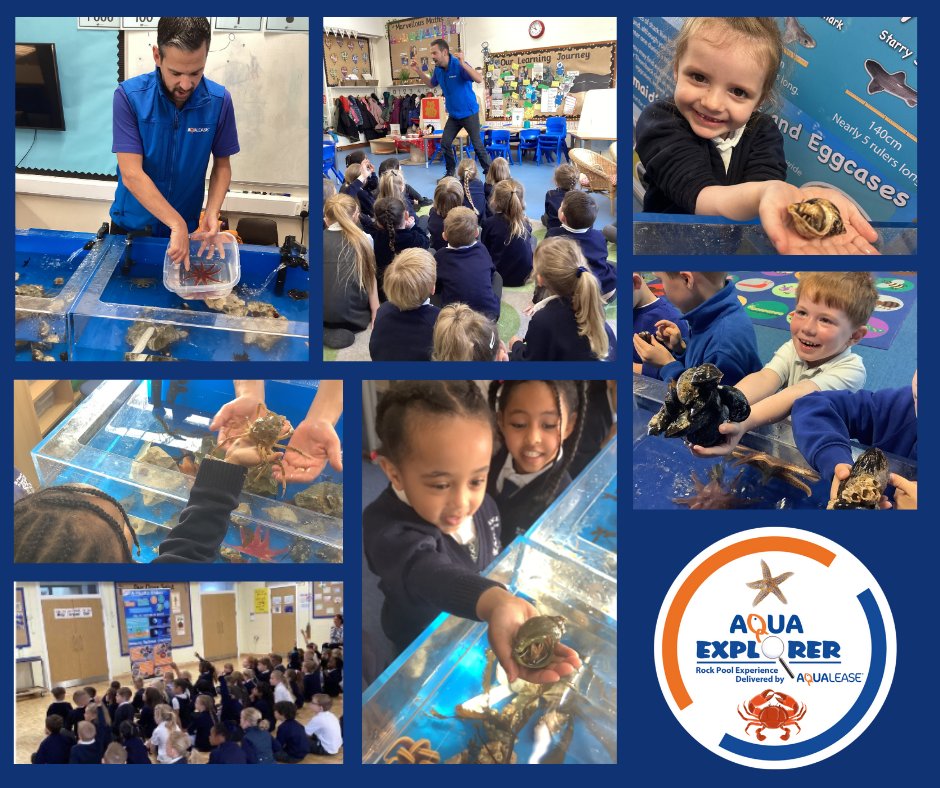Spaces for our Aquaexplorer British rockpool experience are filling up quickly, book now to avoid disappointment! 🦀🌊🐚

Contact us on📱0300 303 3145 or ✉ info@aqualease.co.uk

#RockPoolExperience #Aqualease #MarineLifeInTheClassroom #HandsOnLearning #Conservation #Education