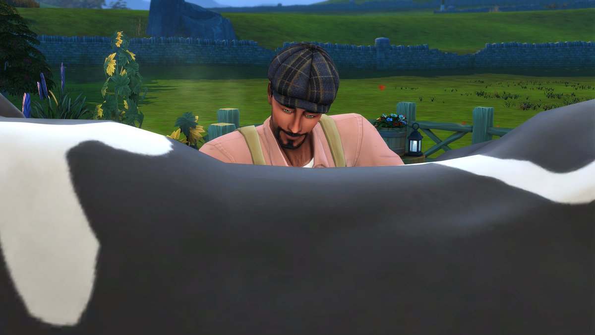 Sims_Soul's tweet image. La vaca no se dejó abrazar 🥲 pero a los pollos les encantó el chiste 😅 #TS4 #Sims4 #TheSims4 #ShowUsYourSims