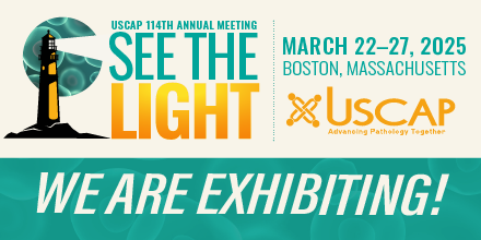 Apollo EI tweet media