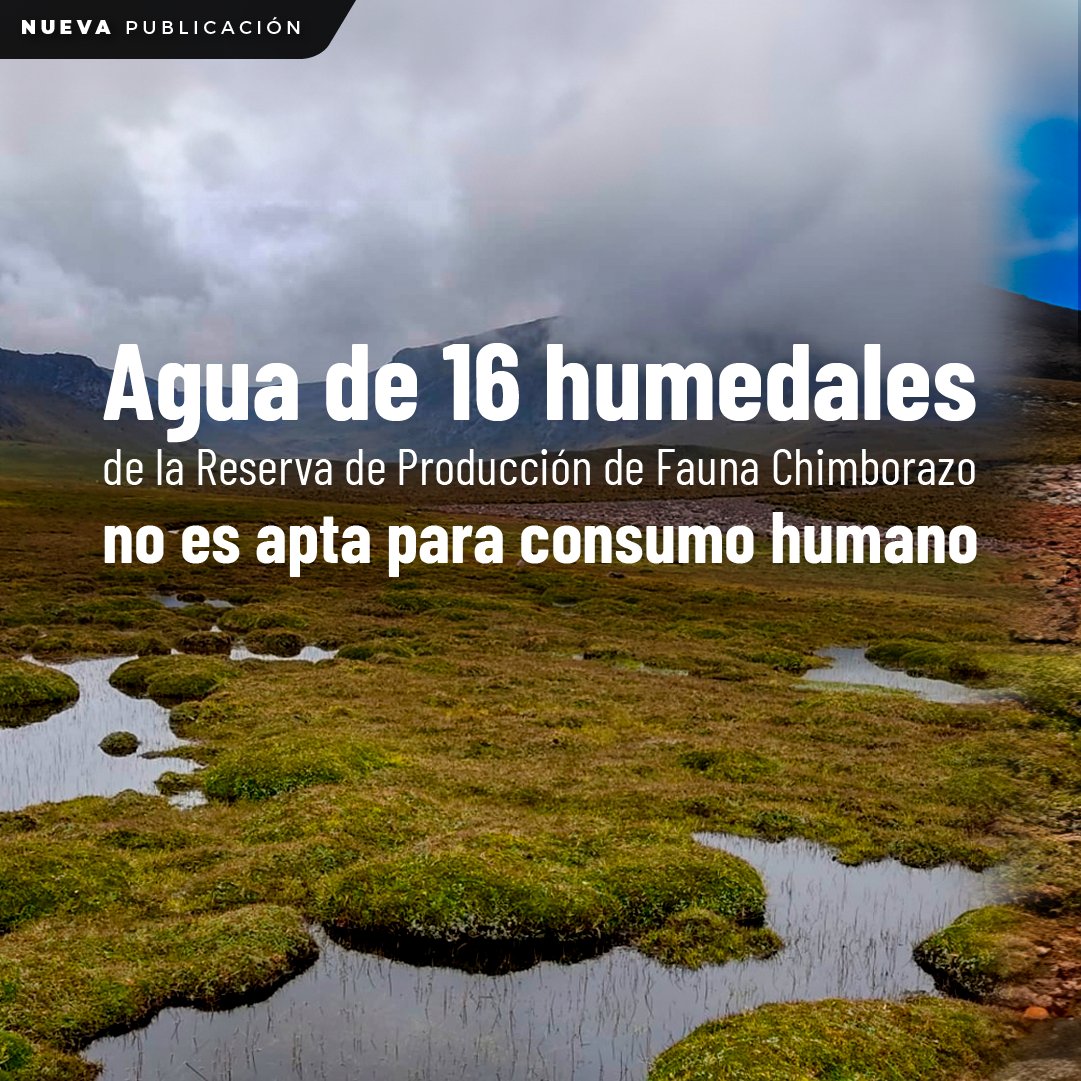 INABIO.EC (@inabio_ec) on Twitter photo ๐๏ธ#NuevaPublicaciรณn | Investigadores de la <a href="/EspochRio/">ESPOCH</a>, <a href="/UniversidadeUSC/">USC</a>, #INABIO y <a href="/usalan/">SEDAT USALAN</a> alizaron la calidad ecolรณgica de 16 humedales de la Reserva de Producciรณn de Fauna Chimborazo, distribuidos en las provincias de Bolรญvar, Tungurahua y Chimborazo. inabio.biodiversidad.gob.ec/2025/03/19/aguโฆ ๐๏ธ#NuevaPublicaciรณn | Investigadores de la <a href="/EspochRio/">ESPOCH</a>, <a href="/UniversidadeUSC/">USC</a>, #INABIO y <a href="/usalan/">SEDAT USALAN</a> alizaron la calidad ecolรณgica de 16 humedales de la Reserva de Producciรณn de Fauna Chimborazo, distribuidos en las provincias de Bolรญvar, Tungurahua y Chimborazo. inabio.biodiversidad.gob.ec/2025/03/19/aguโฆ