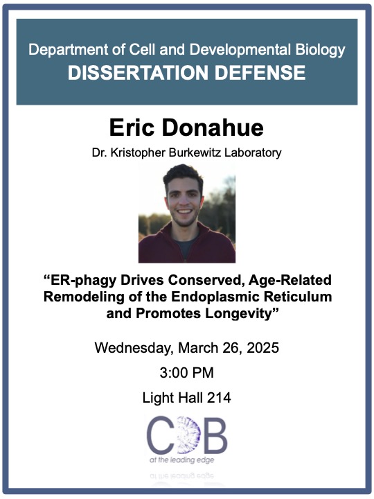 Vanderbilt MSTP (@vanderbiltmstp) on Twitter photo Join us Wednesday, March 26 at 3:00pm in LH 214 for <a href="/eric_kf_donahue/">Eric KF Donahue</a>'s Dissertation Defense! He will present "ER-phagy Drives Conserved, Age-Related Remodeling of the Endoplasmic Reticulum and Promotes Longevity" completed in the lab of Dr. Kris Burkewitz in <a href="/VanderbiltCDB/">Vanderbilt Cell and Developmental Biology</a>. Join us Wednesday, March 26 at 3:00pm in LH 214 for <a href="/eric_kf_donahue/">Eric KF Donahue</a>'s Dissertation Defense! He will present "ER-phagy Drives Conserved, Age-Related Remodeling of the Endoplasmic Reticulum and Promotes Longevity" completed in the lab of Dr. Kris Burkewitz in <a href="/VanderbiltCDB/">Vanderbilt Cell and Developmental Biology</a>.