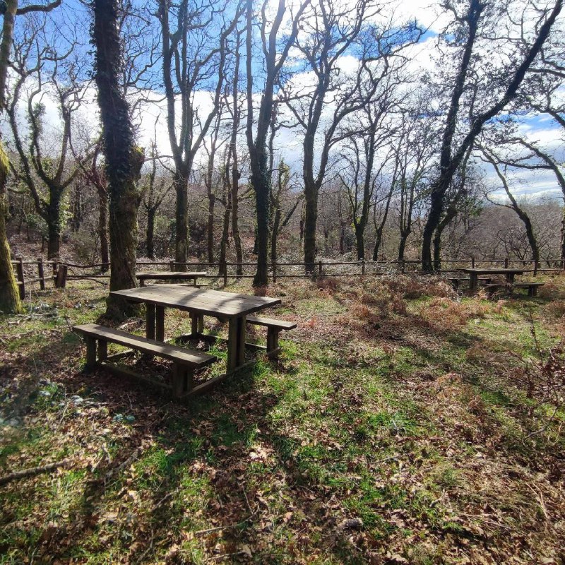 🖼 🍃Eis umha achega ao que será o roteiro deste  domingo👇

✨O caminho das estrelas

📌Fervença de Parrelos 

📌 Ponte Abuinha.Carvalheira do Rei. Aqui faremos o jantar às 13:00

⚠️Saidab às 11h da Igreja de Sam Salvador de Prado.

⏳Duraçom 3 h  dificultade moderada.