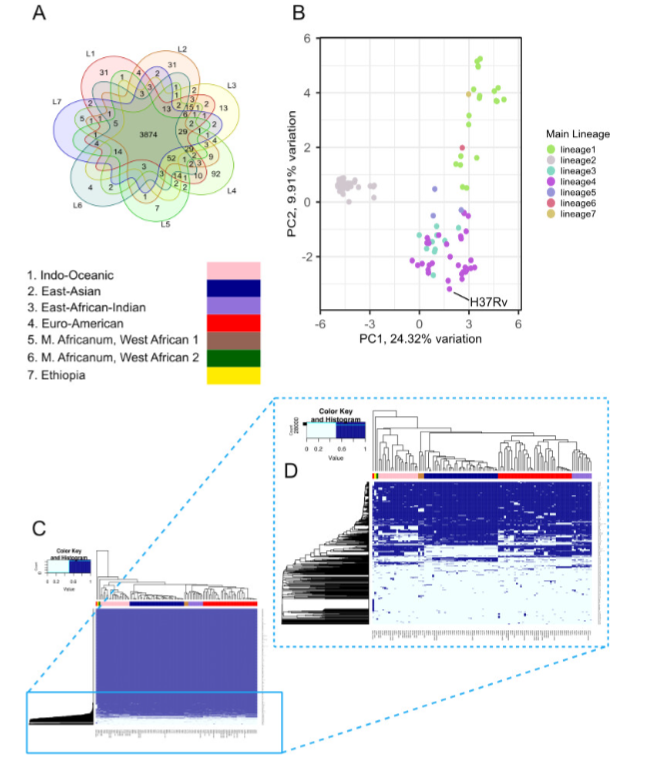 ASM (@asmicrobiology) on Twitter photo Pangenome network analysis of 110 M. tuberculosis clinical isolates reveals important regions of genomic diversity among genes engaged in host evasion and drug resistance, highlighting gaps in our understanding of the pathogen. <a href="/mSystemsJ/">EIC Jack Gilbert</a>: asm.social/2ki Pangenome network analysis of 110 M. tuberculosis clinical isolates reveals important regions of genomic diversity among genes engaged in host evasion and drug resistance, highlighting gaps in our understanding of the pathogen. <a href="/mSystemsJ/">EIC Jack Gilbert</a>: asm.social/2ki