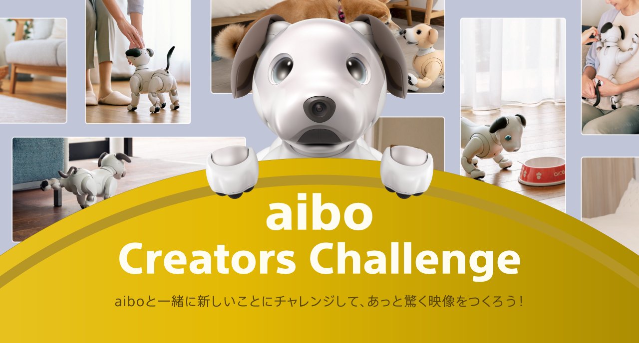aibo 黒ごま エディション | aibo