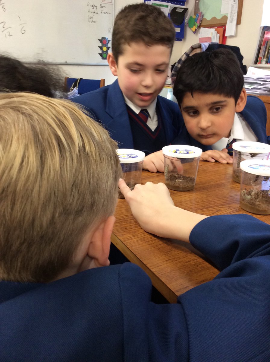 Year 4 have thoroughly enjoyed seeing the butterfly lifecycle in action as part of our science topic this term. #StNicksYear4 #StNicksLower