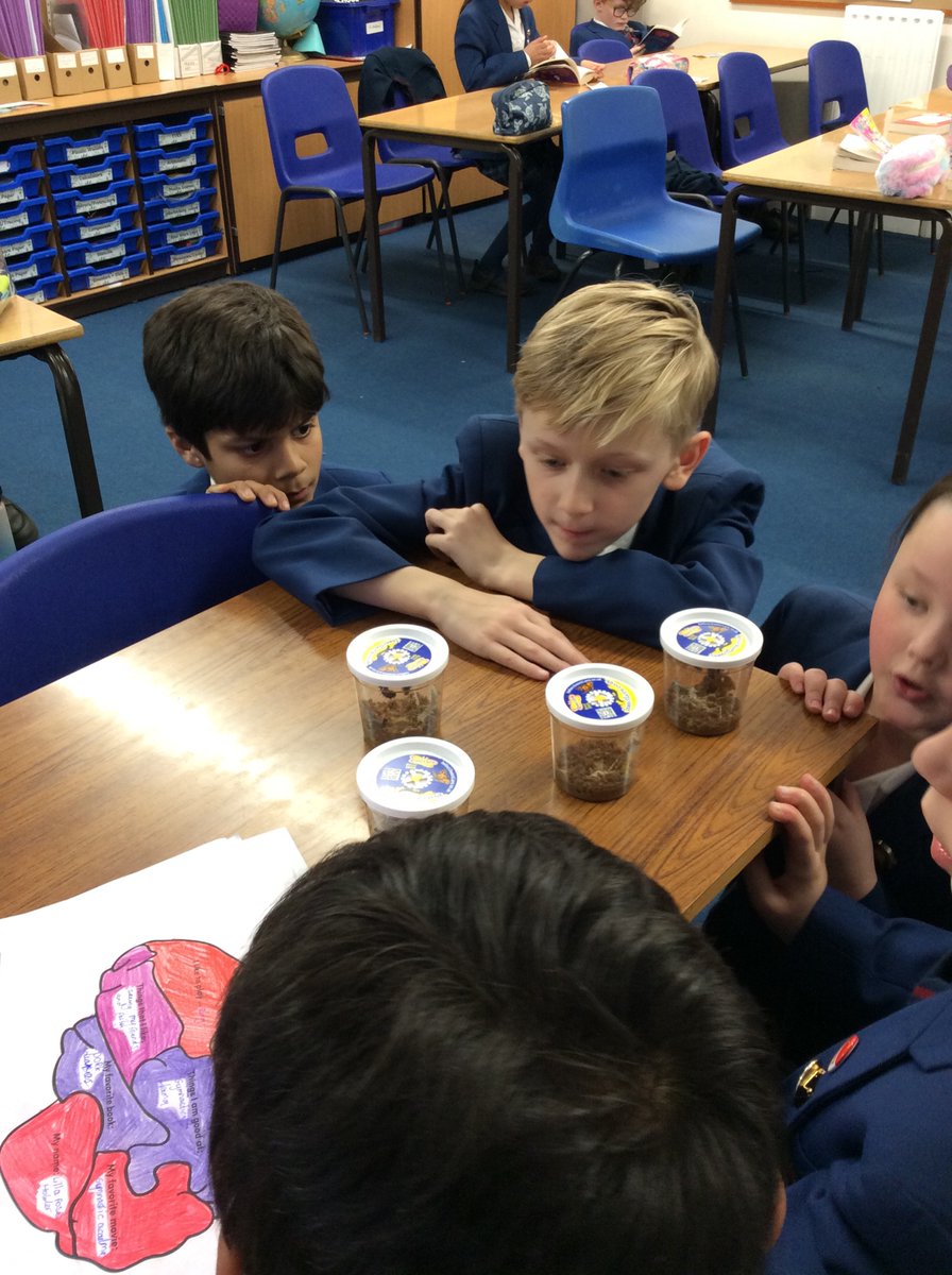 StNicksLower's tweet photo. Year 4 have thoroughly enjoyed seeing the butterfly lifecycle in action as part of our science topic this term. #StNicksYear4 #StNicksLower https://t.co/MmF8pdiLFP
