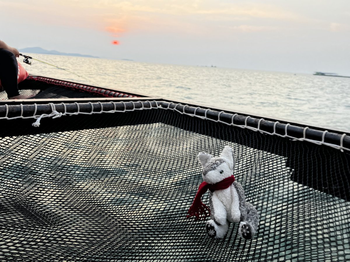 wolfroof's tweet photo. 海上レストランでイカ釣り 🦑🎣 #wolfytrip https://t.co/uYiof4gmFe