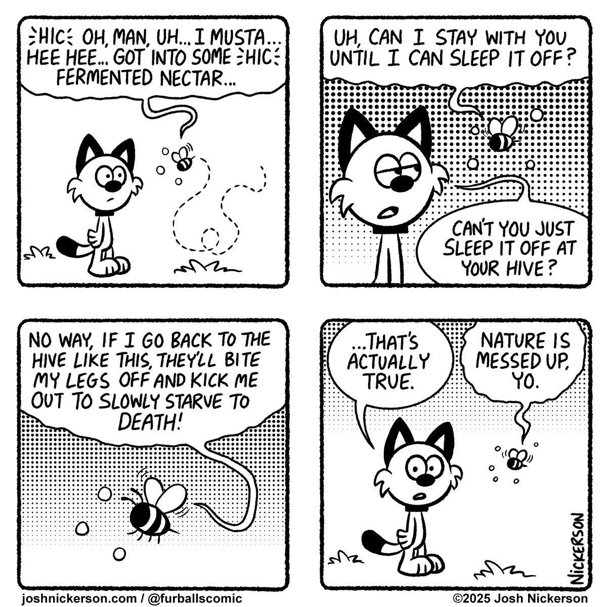 Furballs tweet media