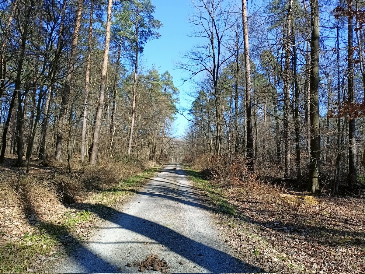 JoGoebel's tweet photo. Korrekte 10K vorhin von #Ölbronnn - #Maulbronn West - #Aize (#Ötisheim) und zurück nach #Ölbronn 🏃. #Enzkreis https://t.co/1J9IpoMLGf