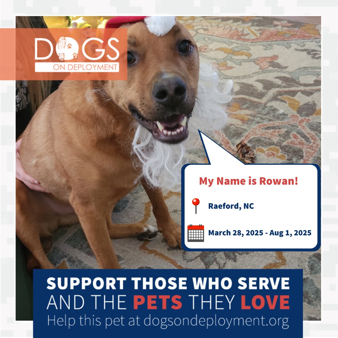 DogsonDeploymnt's tweet photo. This furry family needs a loving DoD Boarder to stay with while their dual-military parents are deployed!
๐๏ธ March 28, 2025 - August 1, 2025
๐ Raeford, NC
๐: https://t.co/vEKgcItg83
#DoDFoster #FosterPet #DogsonDeployment #DoDMission #MilitaryPets #Raeford #NorthCarolina https://t.co/hk8cEh1RQC