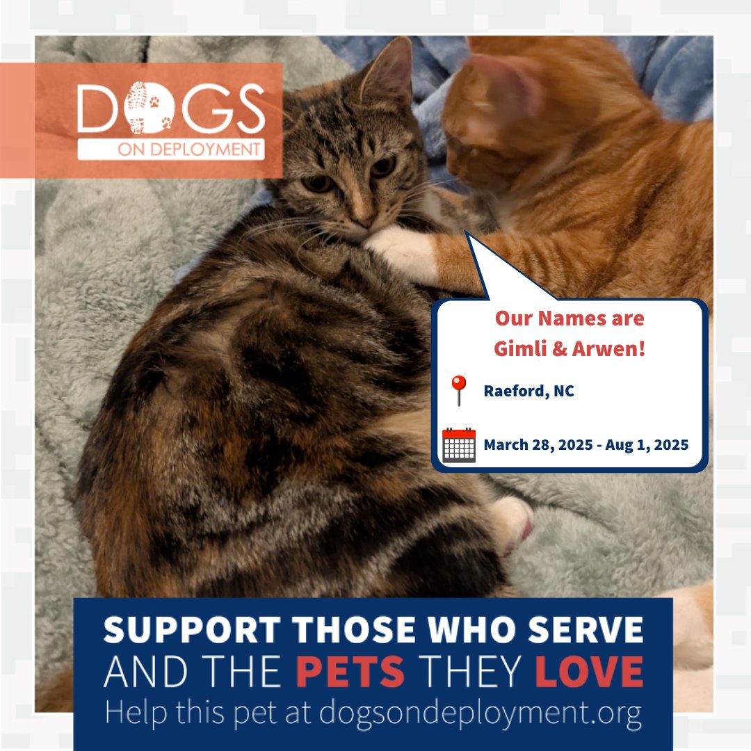 DogsonDeploymnt's tweet photo. This furry family needs a loving DoD Boarder to stay with while their dual-military parents are deployed!
๐๏ธ March 28, 2025 - August 1, 2025
๐ Raeford, NC
๐: https://t.co/vEKgcItg83
#DoDFoster #FosterPet #DogsonDeployment #DoDMission #MilitaryPets #Raeford #NorthCarolina https://t.co/hk8cEh1RQC