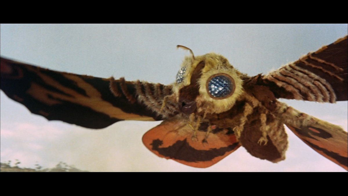 Godzilla_Toho's tweet photo. Mothra shows us that true strength lies in grace and patience.

#Godzilla https://t.co/BTPswng7Bu
