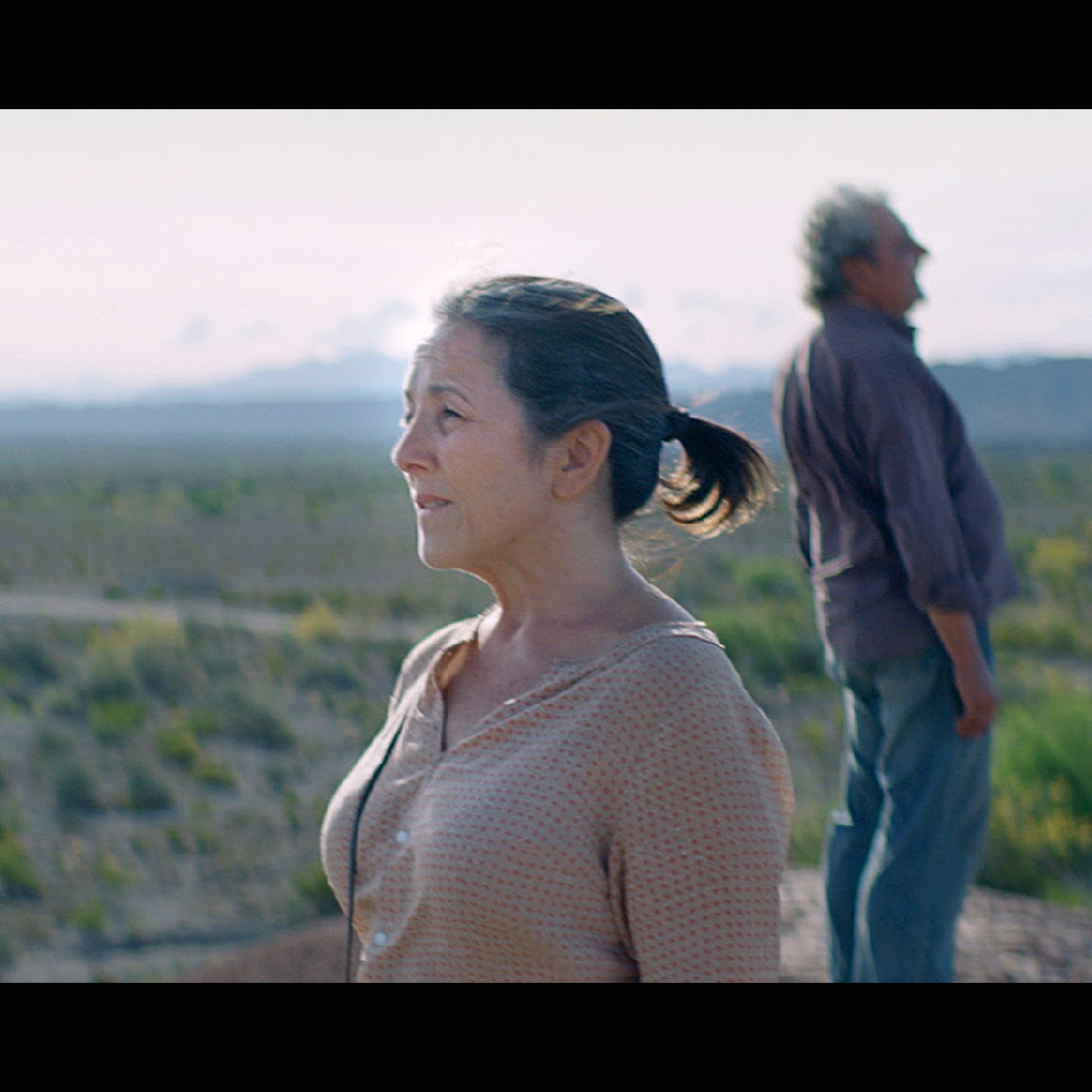 Teresa, una empleada doméstica de 54 años en Buenos Aires, ve su rutina sacudida cuando la familia para la que trabaja decide vender la casa. Sin opciones, acepta un nuevo empleo en la lejana provincia de San Juan, donde se enfrenta a lo desconocido y a lo imprevisible.