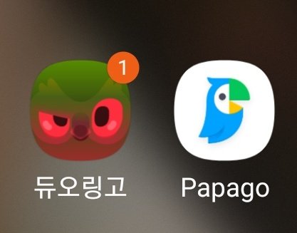 링고야 너무 띠껍게 쳐다보는거 아니니
옆에 파파고랑 비교된다...
