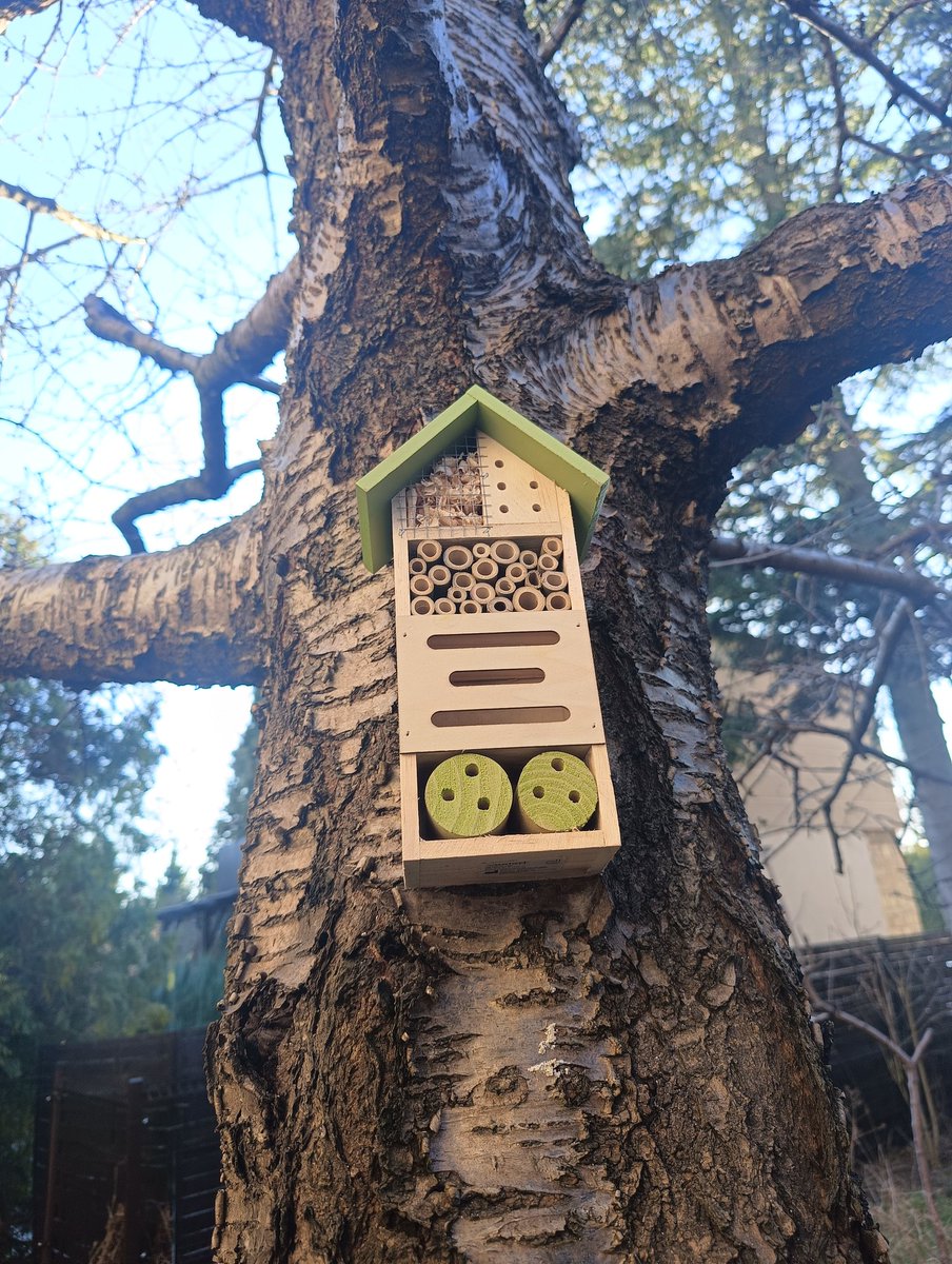 GGanszczyk's tweet image. Nowy domek dla pszczół, zapylaczy, owadów jest w ogrodzie! 🙂🍀🐝🐞🦋💚 #March #SpringIsComing #gardening #NatureLove #pollinators #bees