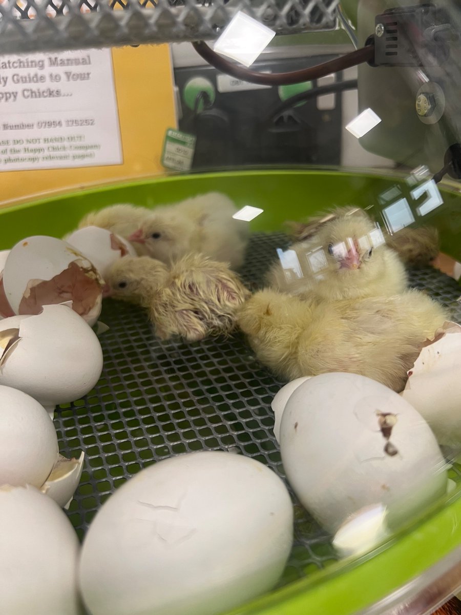 Welland Academy tweet media