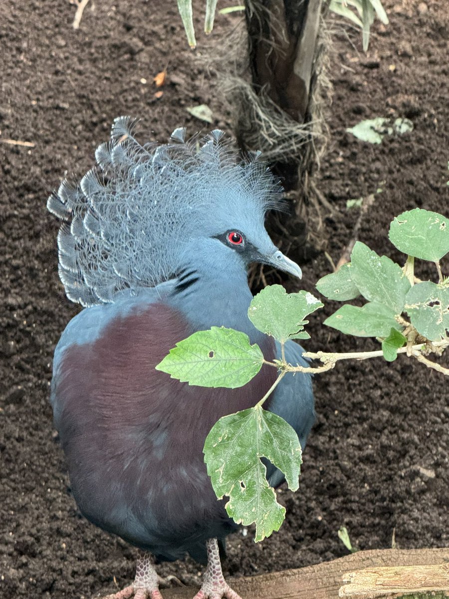 DeeZe ⛳🏌️‍♂️ tweet media