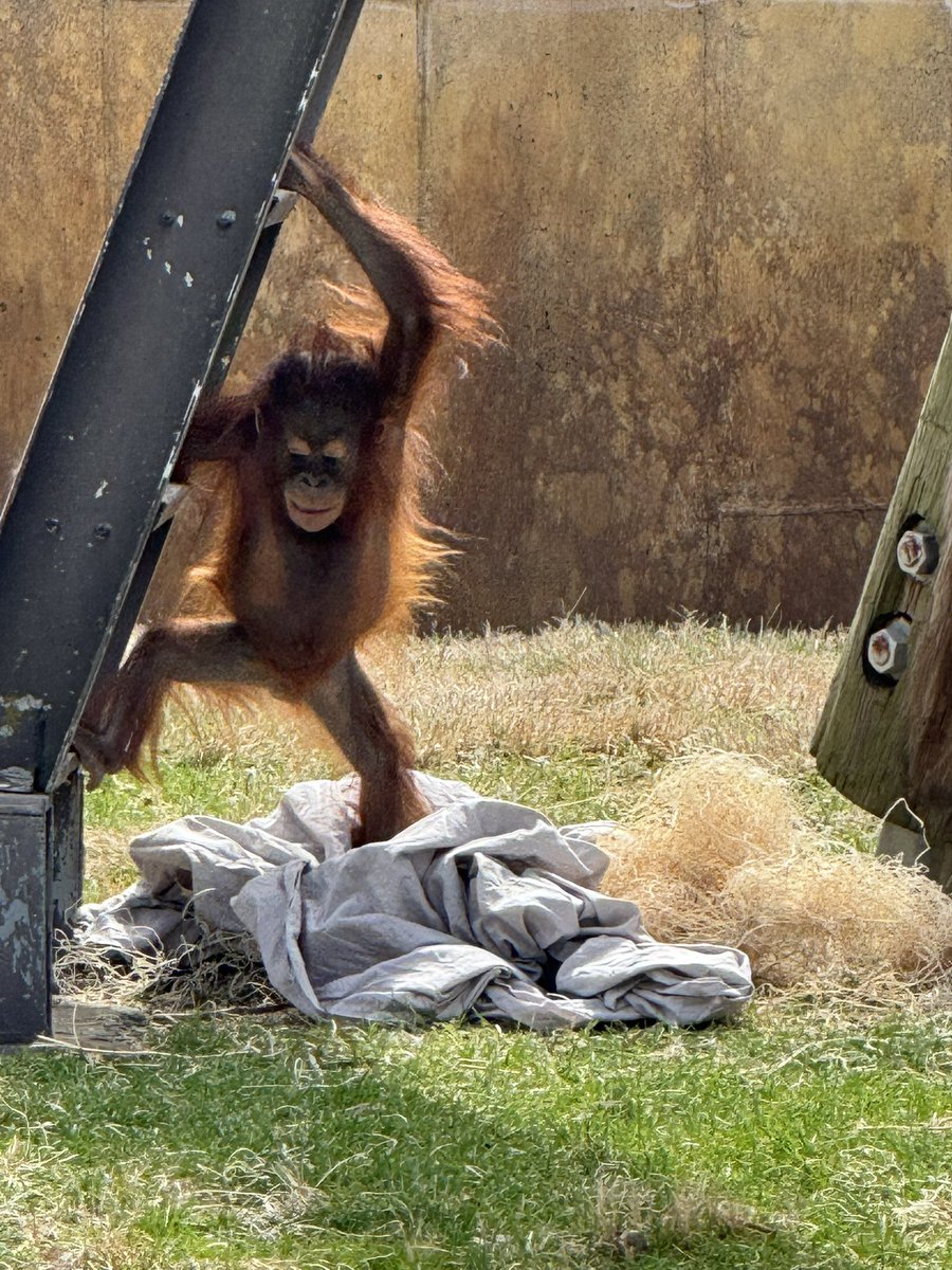 DeeZe ⛳🏌️‍♂️ tweet media