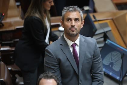 Con que palabra describirías a Martin Menem?