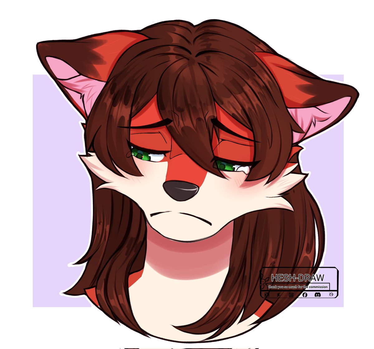 Nala Fox tweet media