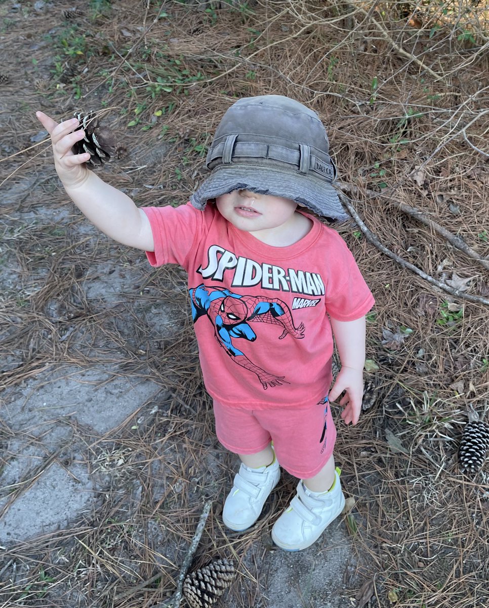 BEHOLD THE POWER AND MYSTERY OF THE PINE CONE OF DESTINY