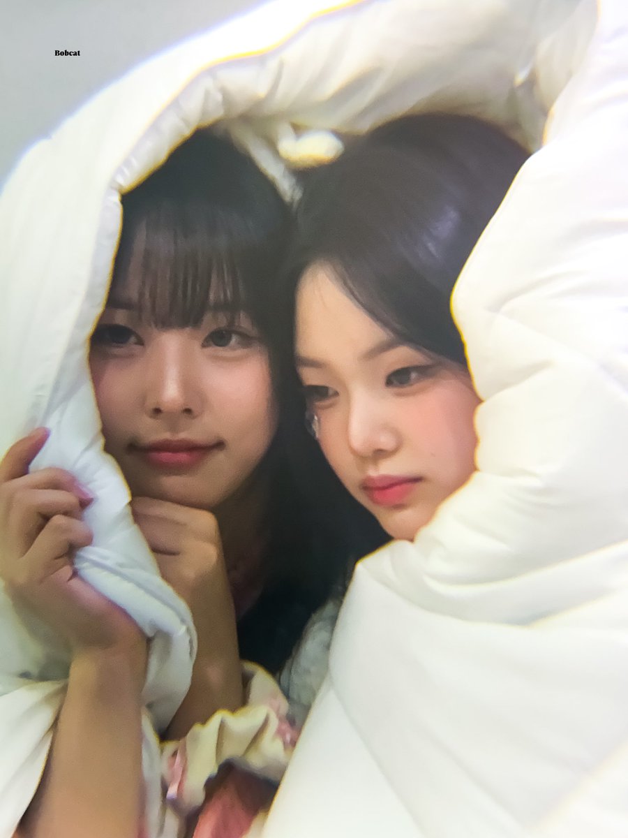 250214 🐈‍⬛🐹 +) 🍰

#CLASSy #클라씨 
#BOEUN #보은 #SEONYOU #선유